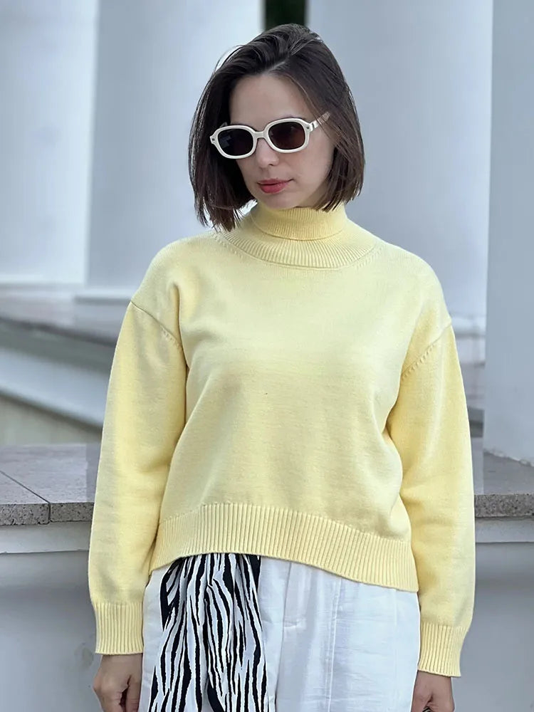 Lily - Knitted high neck sweater