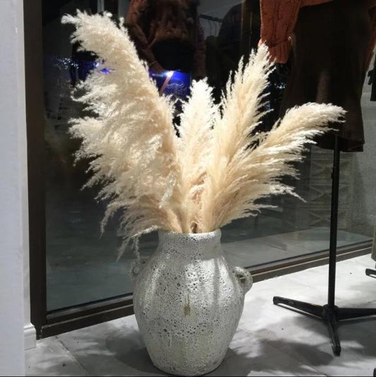 Natural Pampas Grass (10 pieces)