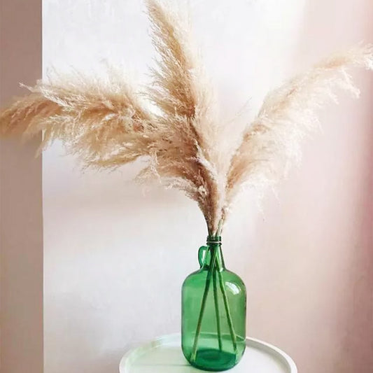 Natural Pampas Grass (10 pieces)
